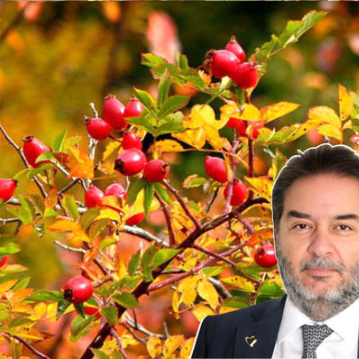 Ürək Harmoniyası Kapsulları